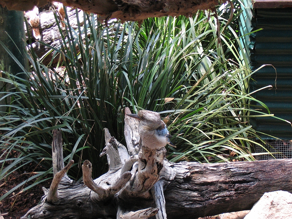 CairnsTC274 Wildlife Habitat.jpg